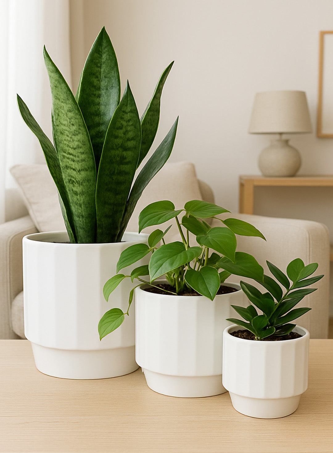 Florinia Modern Ribbed Ceramic Planter – Set of 3 (without plants)