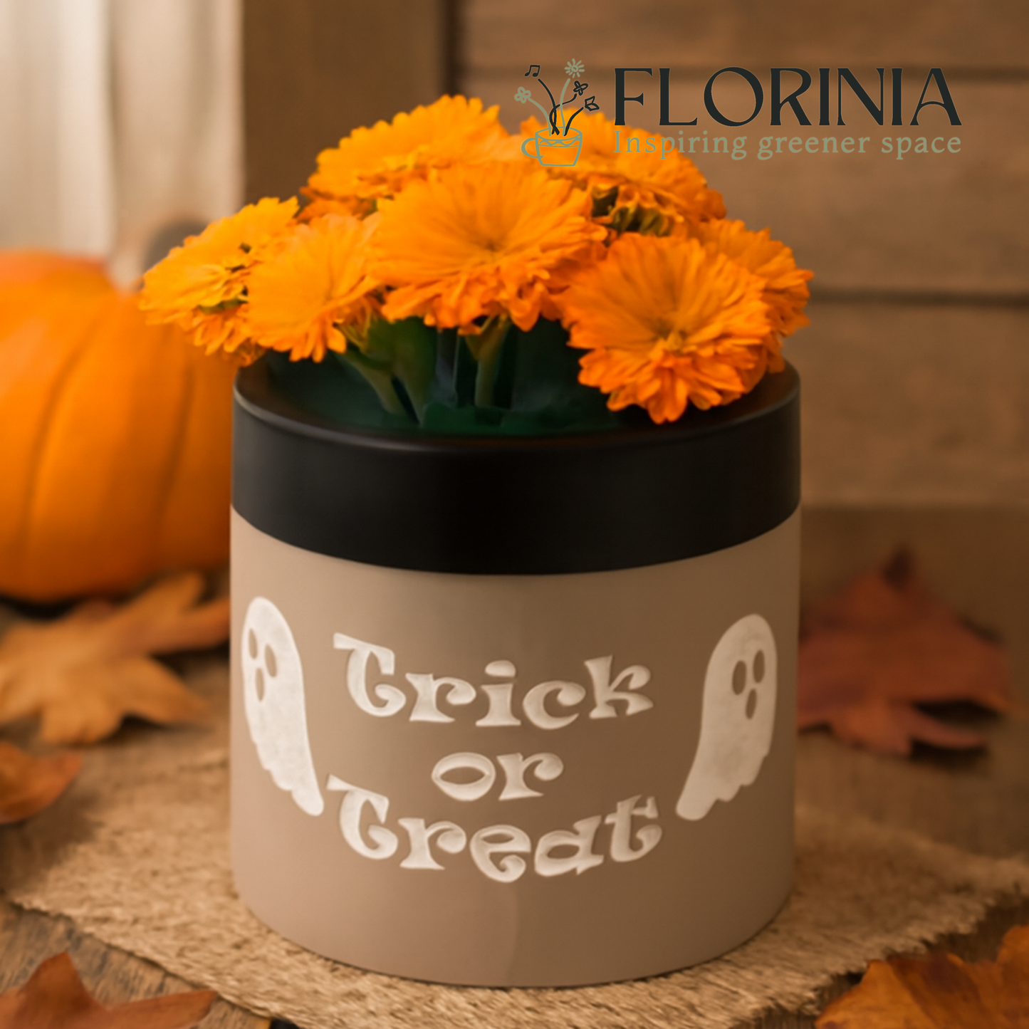 “Trick or Treat” Concrete Pot with Ghost Motif – Planter or Votive