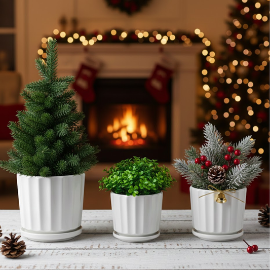 Three potted plants on a table with a fireplace and Christmas tree in the background