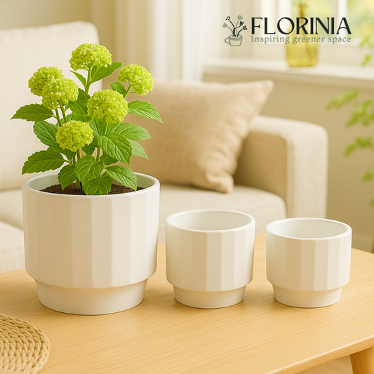 3-Piece White Stoneware Planter Set with Fluted Design