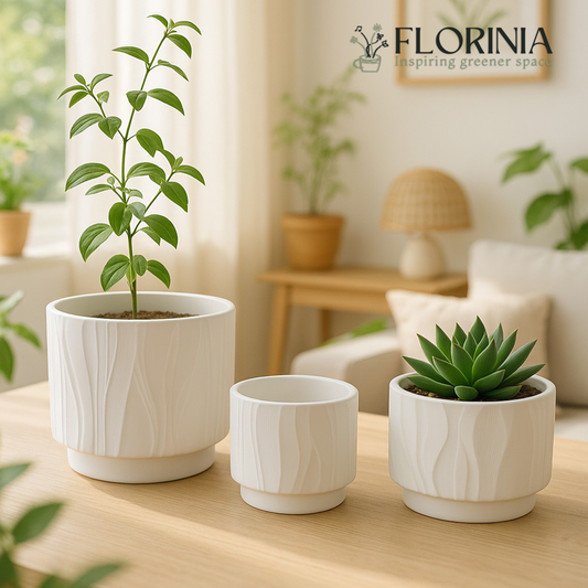 3-Piece White Stoneware Planter Pot Set with Embossed Texture