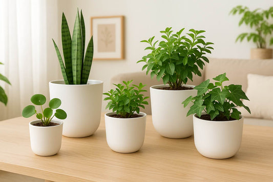 Florinia Classic Round Planter Set – 4 Sizes 9.8"/7.5"/6.3"/5.1" (Plastic, Matte Neutrals, Lightweight Plastic) (without plants)