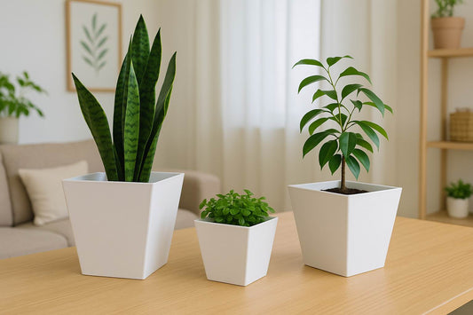 Florinia Square Tapered Planter Set – 3 Sizes 8.1"/6.6"/5.4" (Plastic, Matte Finish, Modern Neutrals) (without plants)