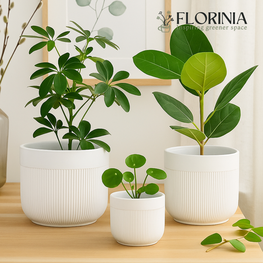 3-Piece White Stoneware Planter Pot Set with Vertical Line Texture