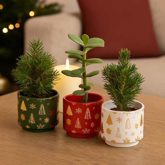 Gold Foil Christmas Ceramic Pot – Planter or Votive