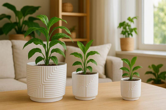 Modern White Stoneware Plant Pots – Geometric Design with Drainage Hole (Set of 3 Sizes)