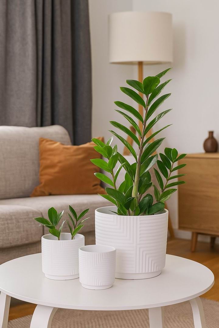 Modern White Stoneware Plant Pots – Geometric Design with Drainage Hole (Set of 3 Sizes)