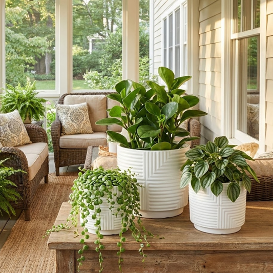 Potted plants on a wooden table with a cozy outdoor setting