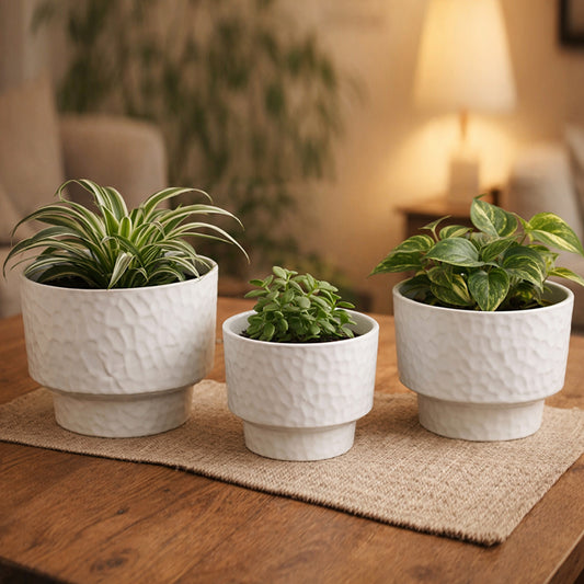Set of 3 Textured Melamine Planters with Pedestal Base, Matte White Indoor Plant Pots (7.5", 6.5", 5.5")