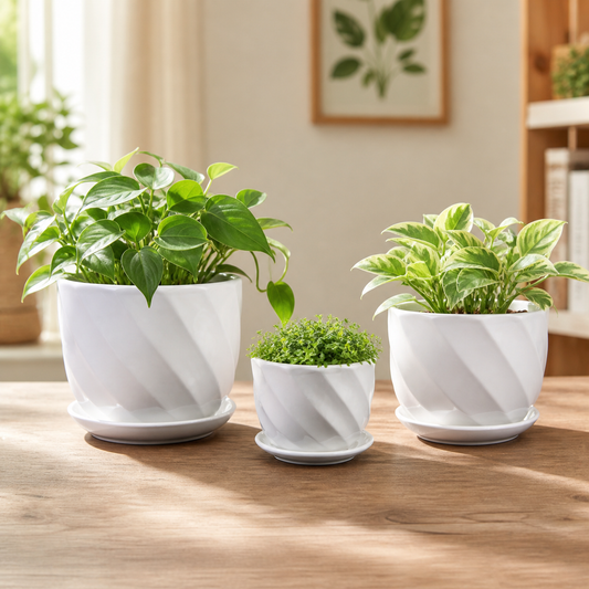 3-Piece White Ceramic Planter Pot Set with Spiral Pattern & Matching Saucers