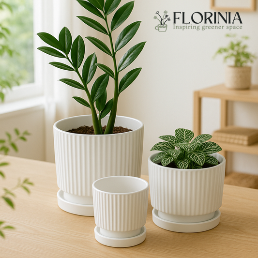 3-Piece White Ceramic Planter Pot Set with Vertical Ribbed Design & Saucers