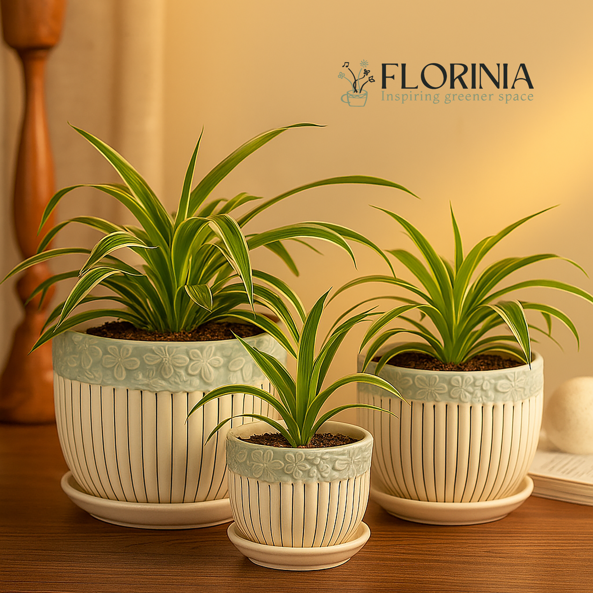 Three ceramic planter pots with spider plants, featuring cream vertical grooves and light green floral rims, displayed on a wooden table with warm indoor lighting. Florinia logo in the background reads “Inspiring greener space.